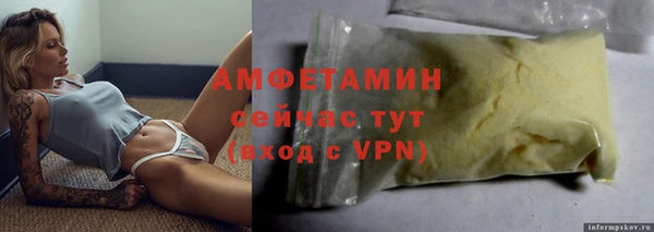 прущие грибы Ростов