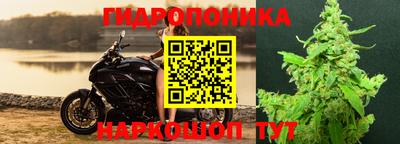 a pvp Краснознаменск