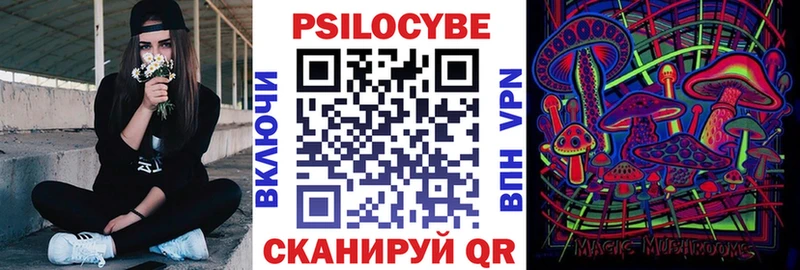 Псилоцибиновые грибы Psilocybe  Кудымкар 