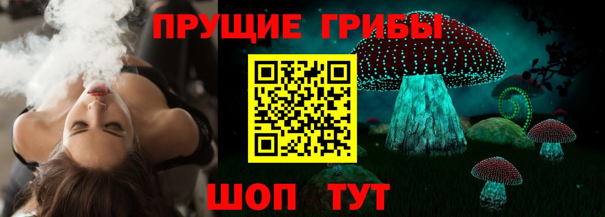 Кудымкар  Галлюциногенные грибы мицелий  Вход с VPN 